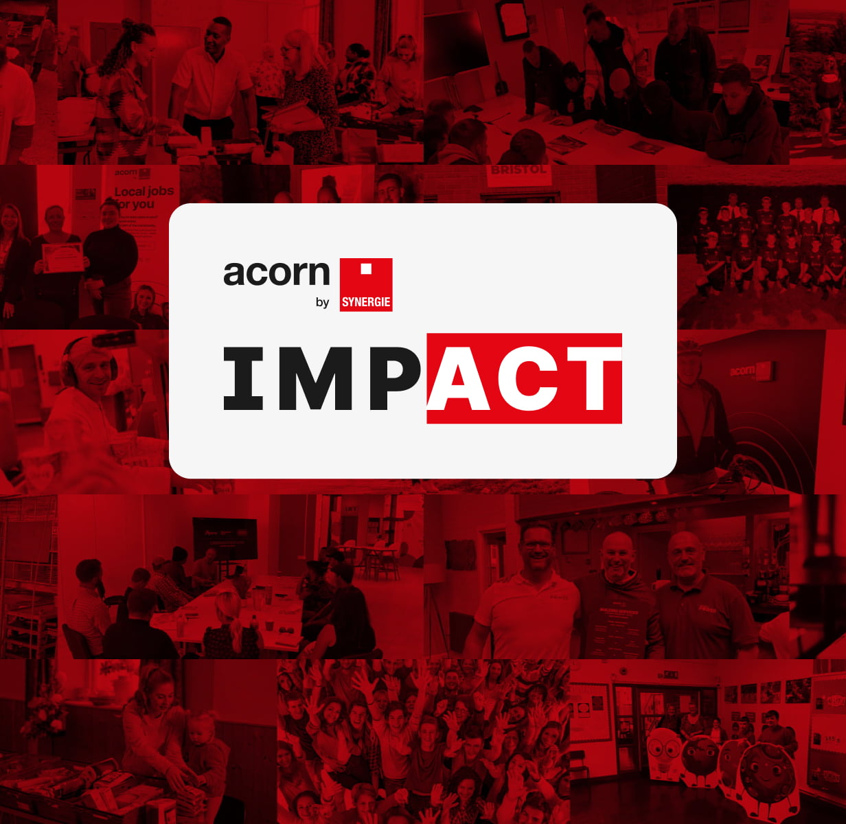 Acorn Impact